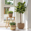 Large Natural Seagrass Planter for Indoor Plants