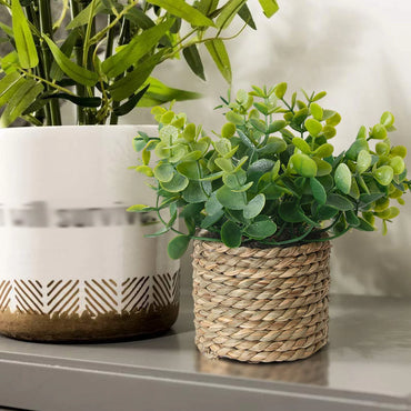 Artificial Eucalyptus Plant Potted for Home and Office Decorations