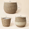 Large Natural Seagrass Planter for Indoor Plants