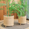 Rattan Plant Stand for Indoor and Outdoor Gardening