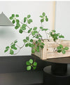 Artificial Guanyin Lotus Leaf for Living Room Decor