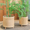 Rattan Plant Stand for Indoor and Outdoor Gardening