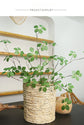 Artificial Guanyin Lotus Leaf for Living Room Decor