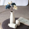 Ceramic Vase Set for Pampas Grass and Dried Flower Home Decor