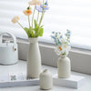 Ceramic Vase Set for Pampas Grass and Dried Flower Home Decor